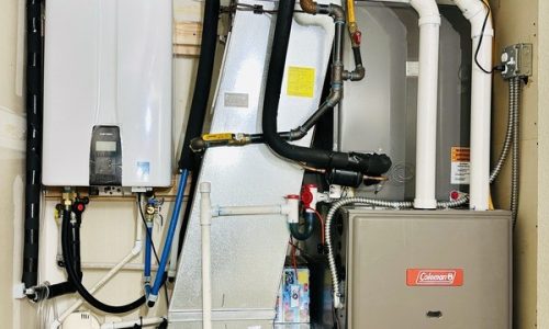 dual fuel hybrid system